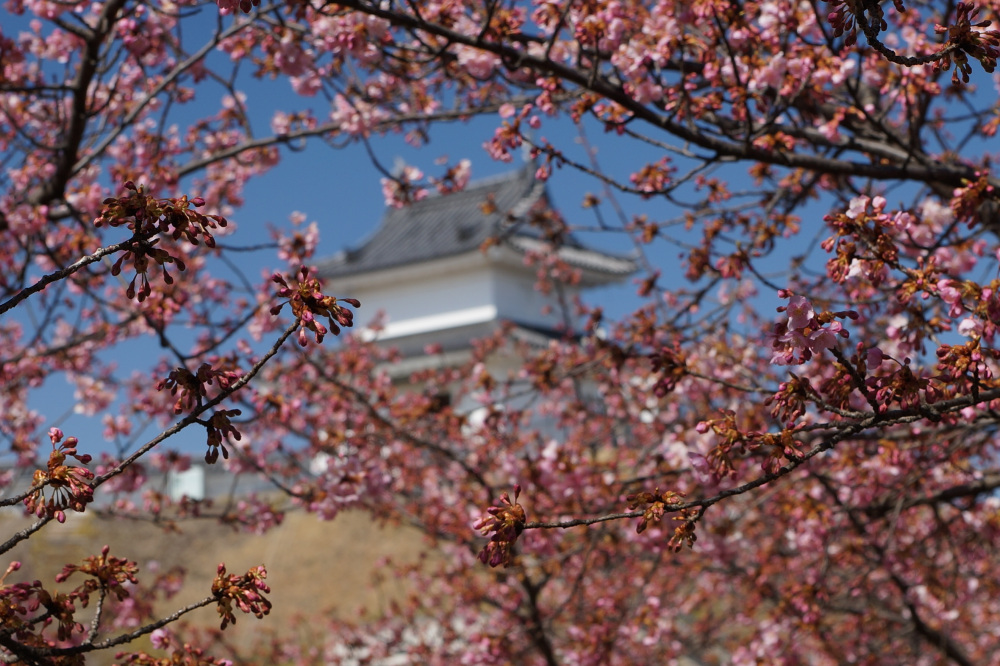 2024年3月11日（月）