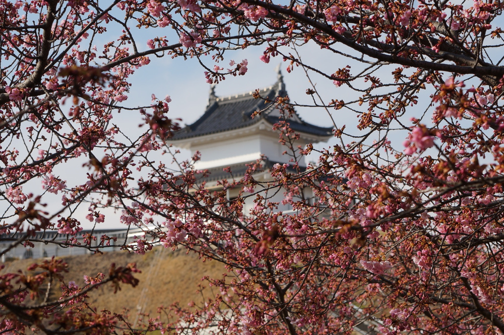 2024年3月8日（金）