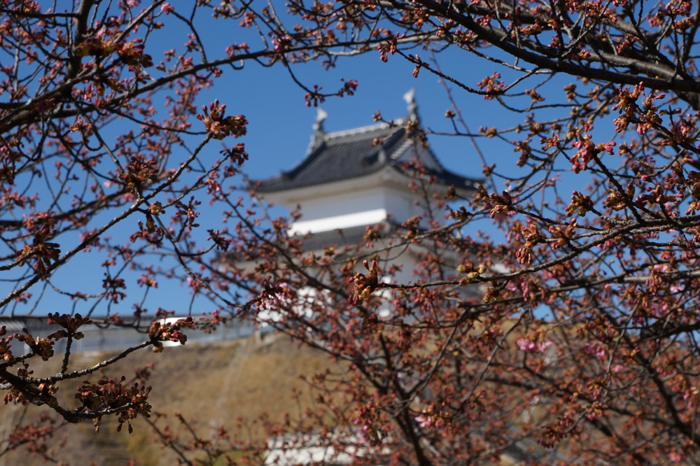 2024年3月2日（土）
