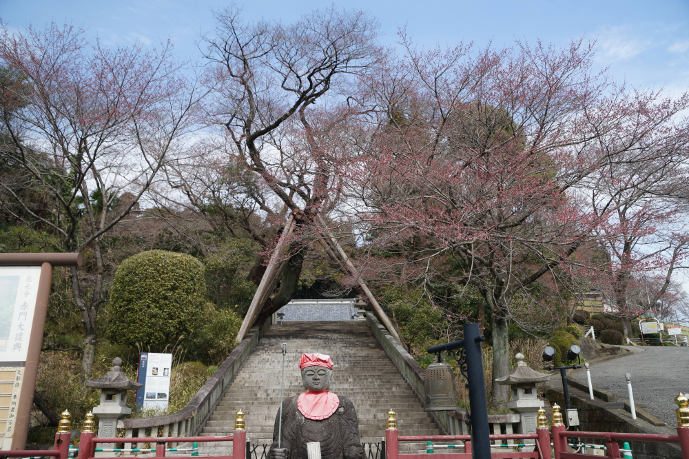 2024年3月24日（日）