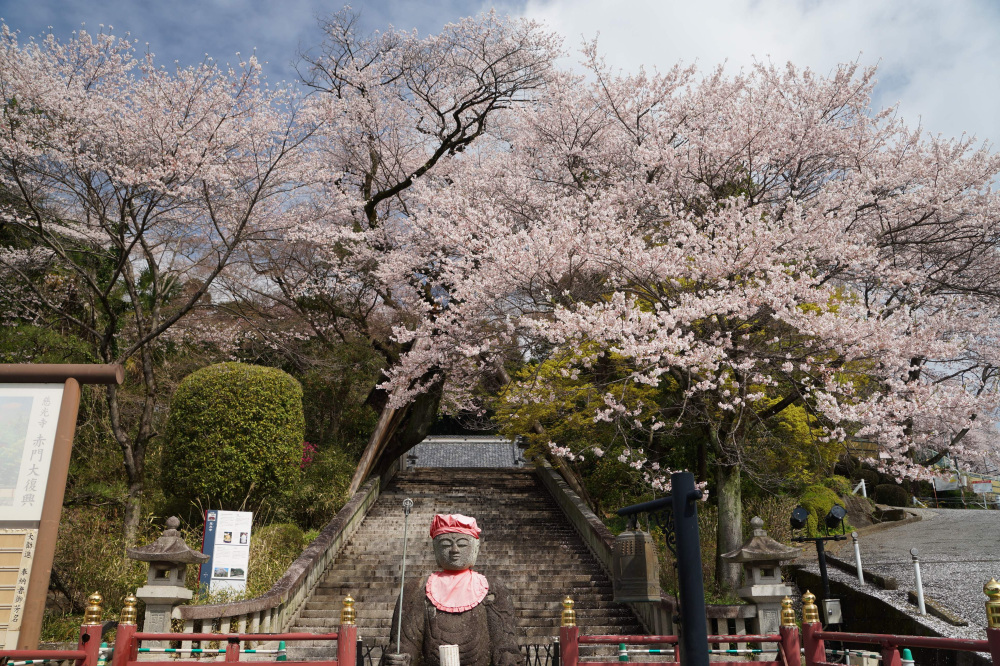 2024年4月4日（木）