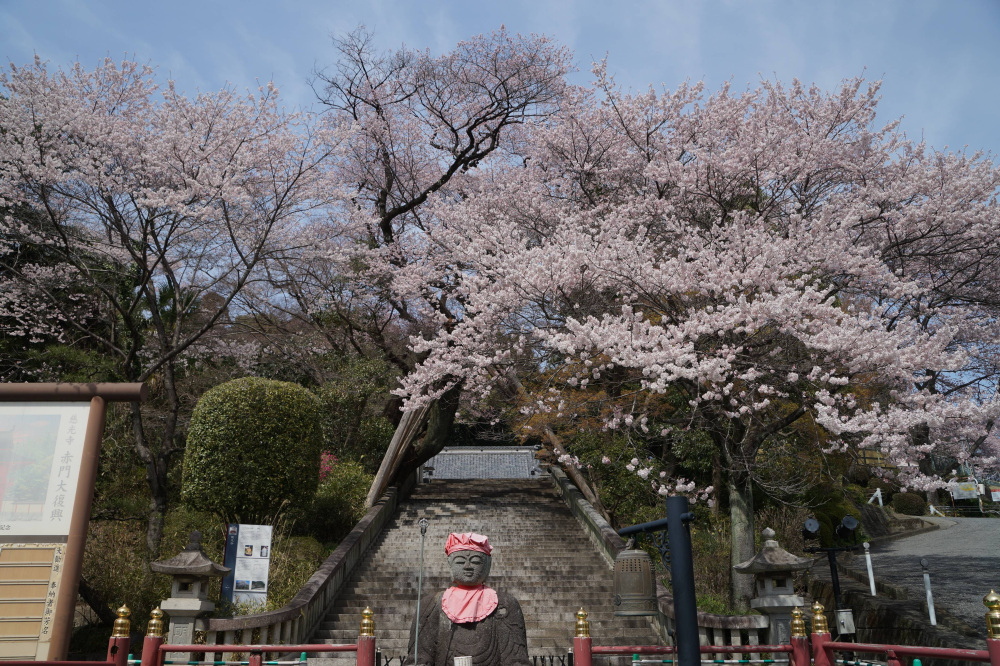 2024年3月31日（日）