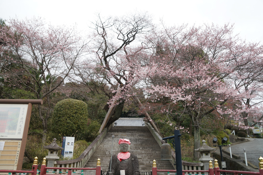 2024年3月28日（木）