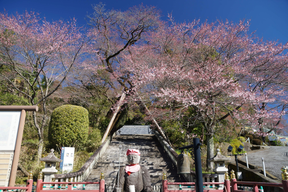 2024年3月27日（水）