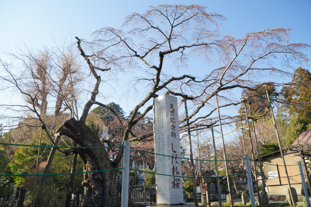 2024年3月23日（土）