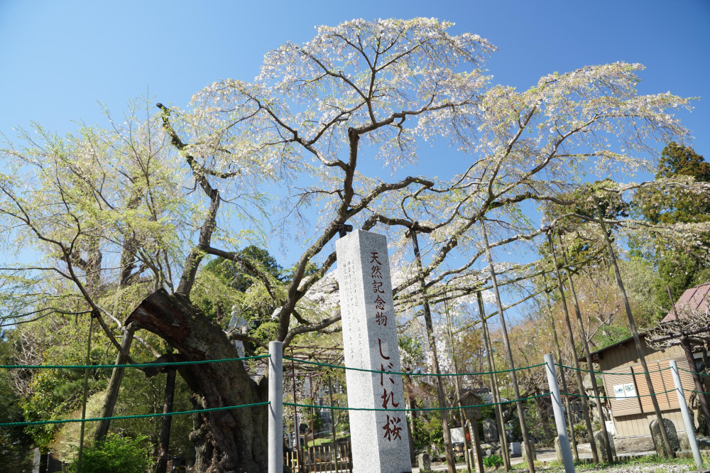 2024年4月7日（日）