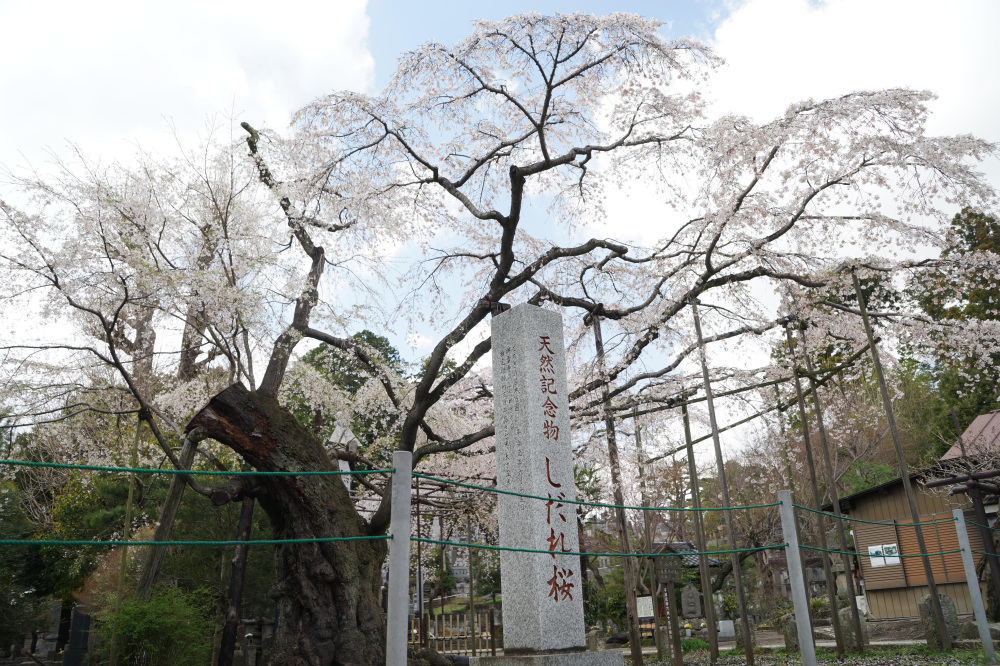 2024年4月5日（金）