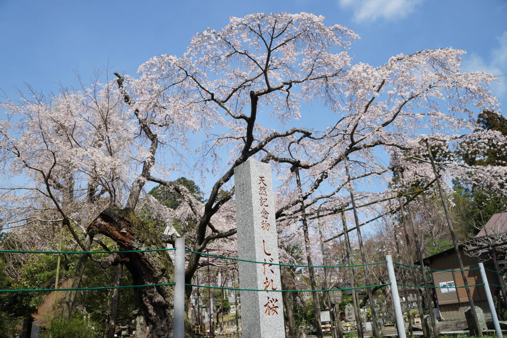 2024年4月4日（木）