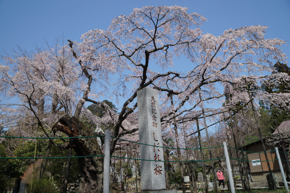 2024年4月2日（火）