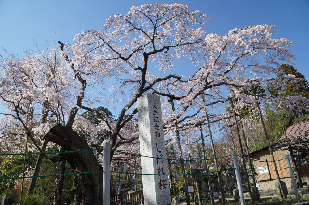 2024年4月1日（月）