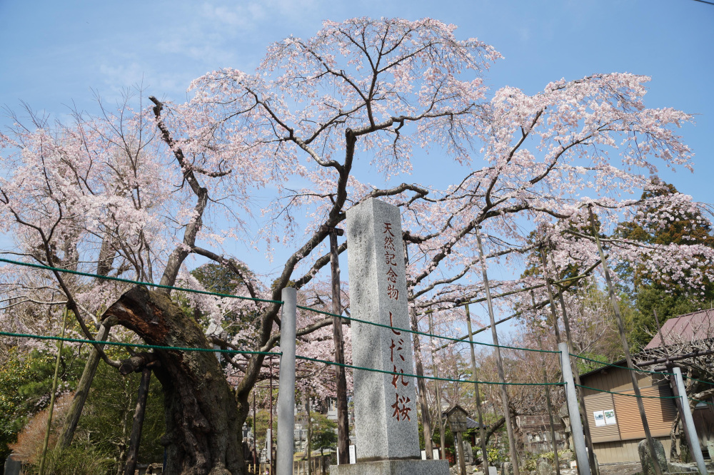 2024年3月31日（日）