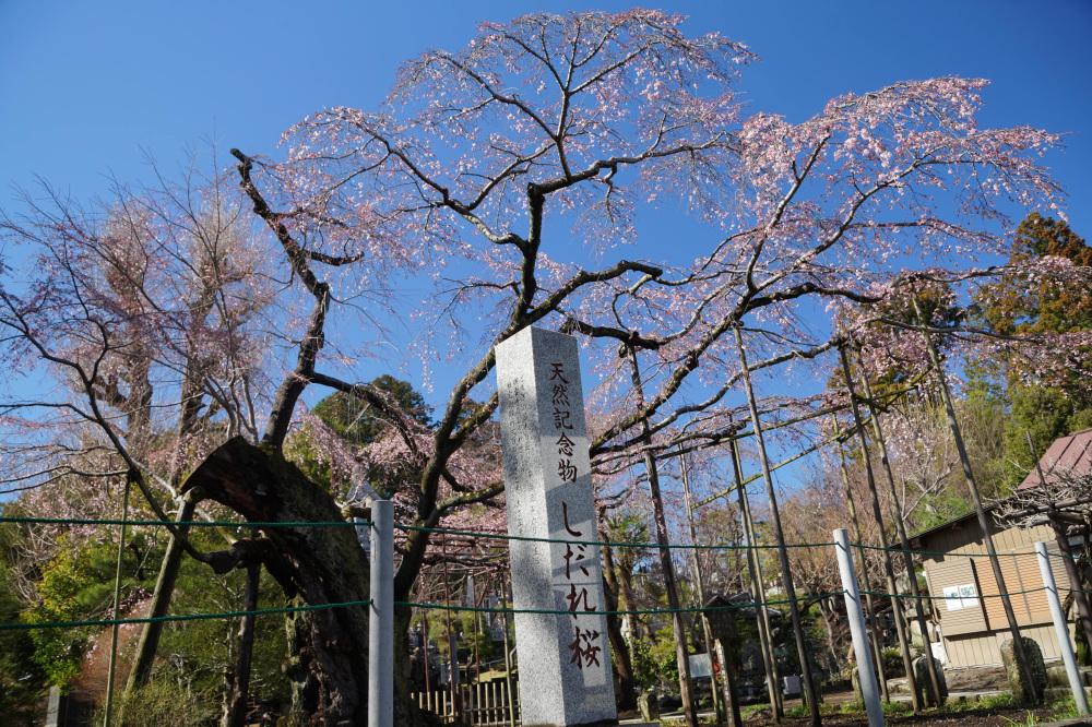 2024年3月29日（金）