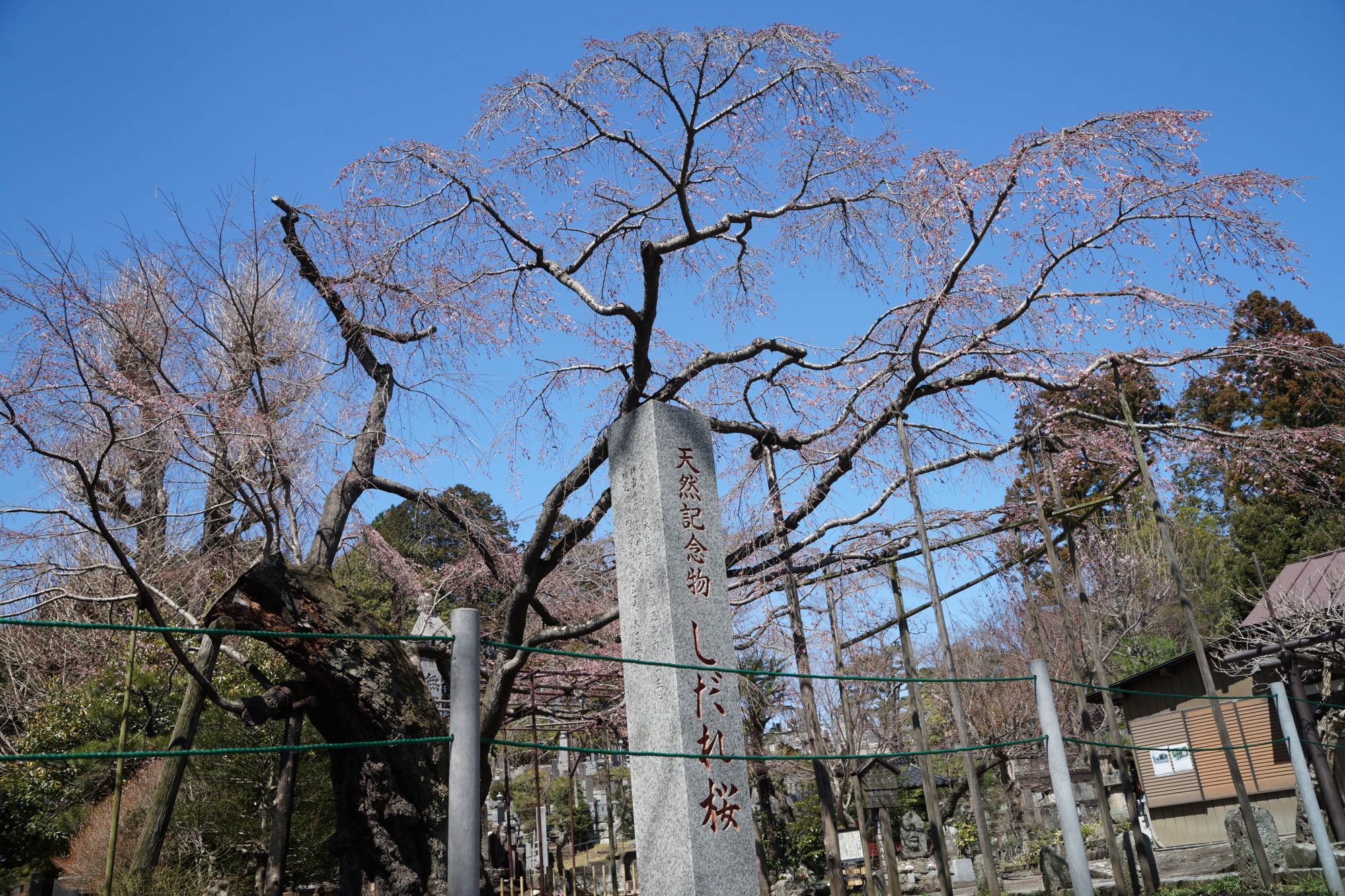 2024年3月27日（水）