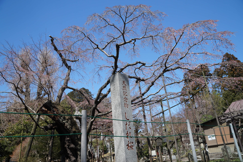 2024年3月27日（水）