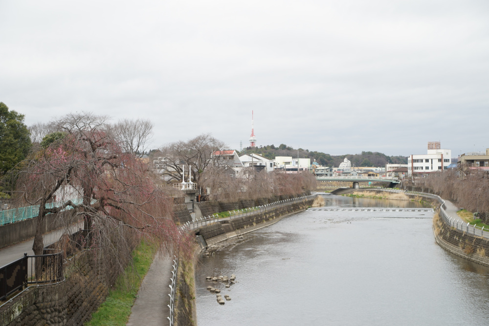 2024年3月28日（木）