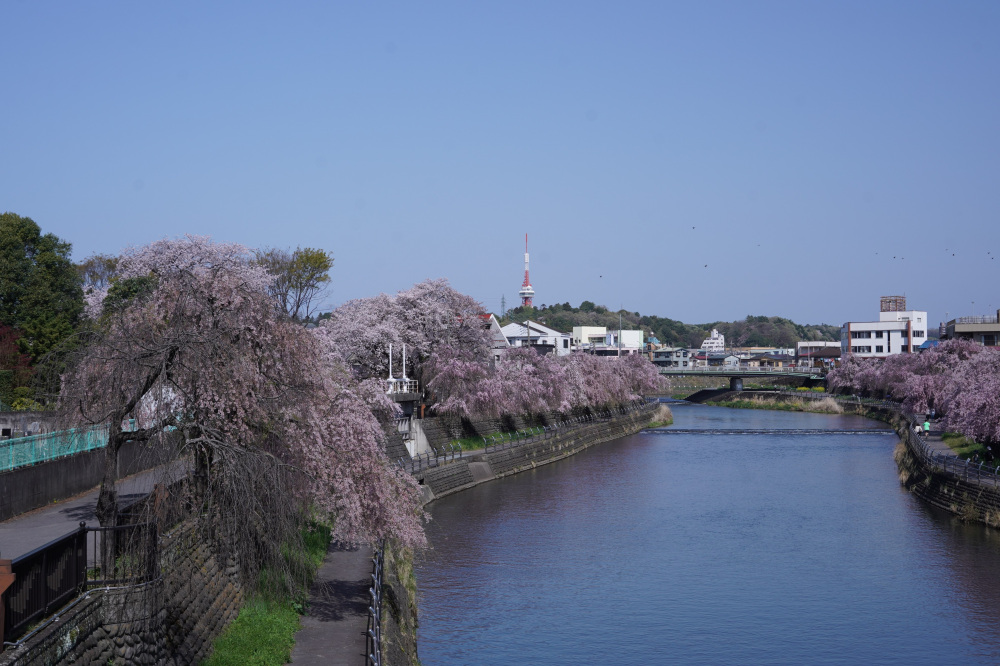 2024年4月14日（日）