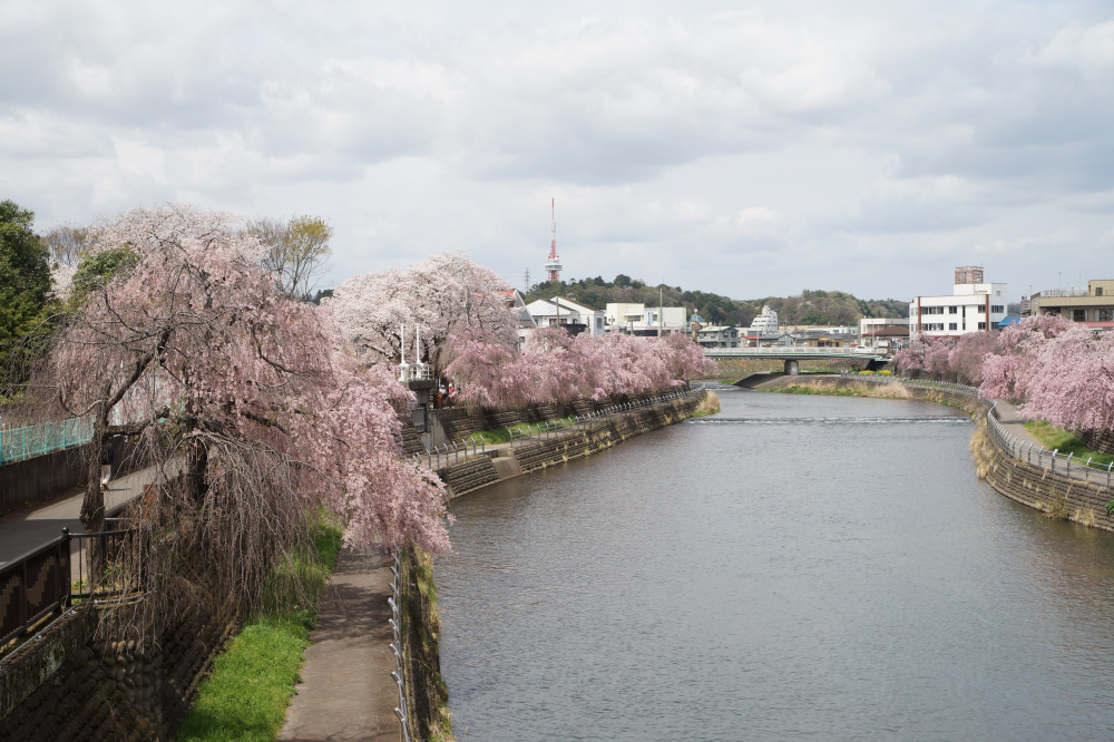 2024年4月12日（金）