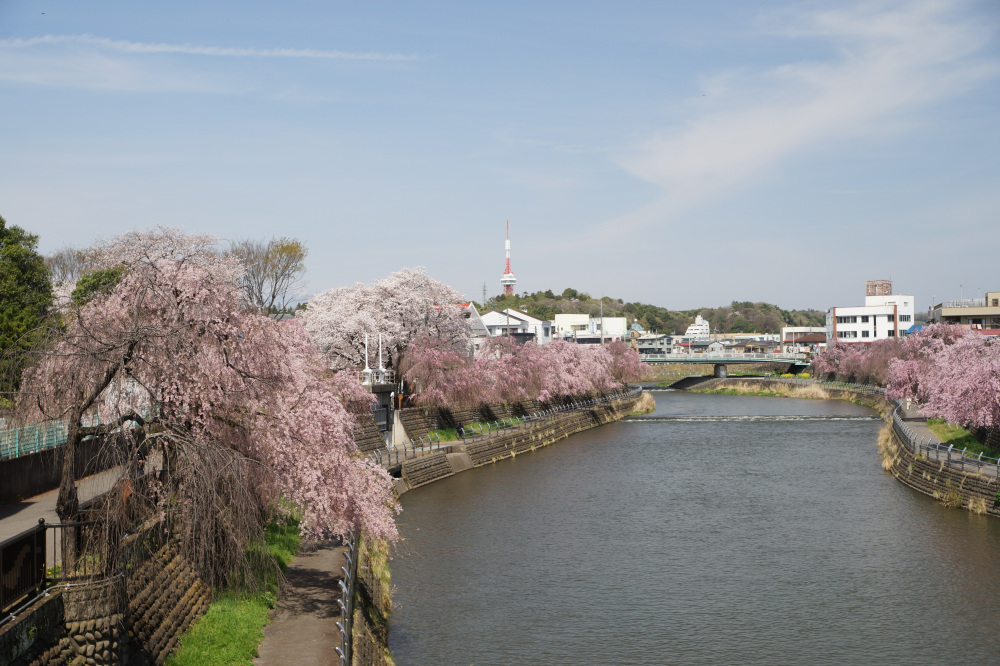 2024年4月11日（木）