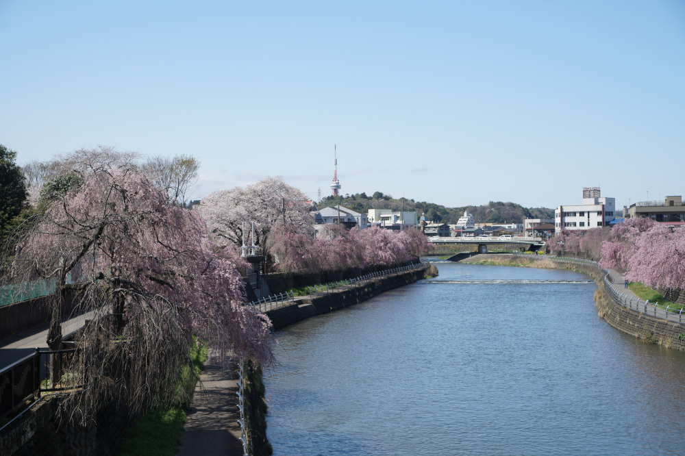 2024年4月7日（日）
