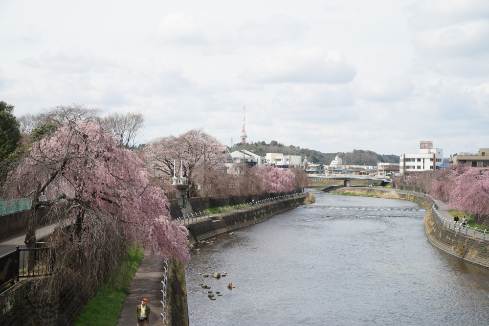 2024年4月6日（土）