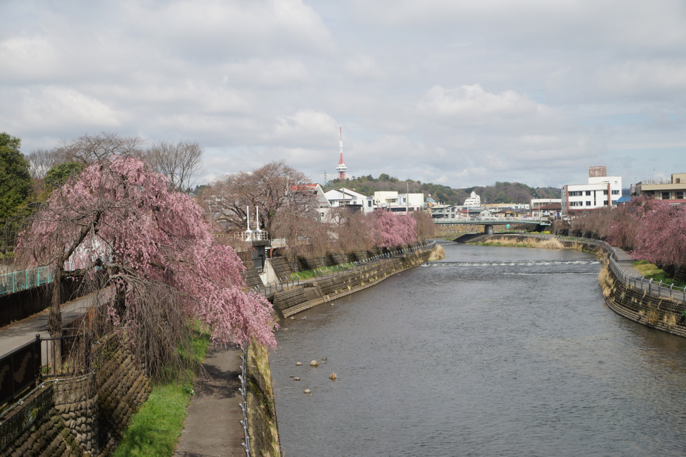 2024年4月4日（木）