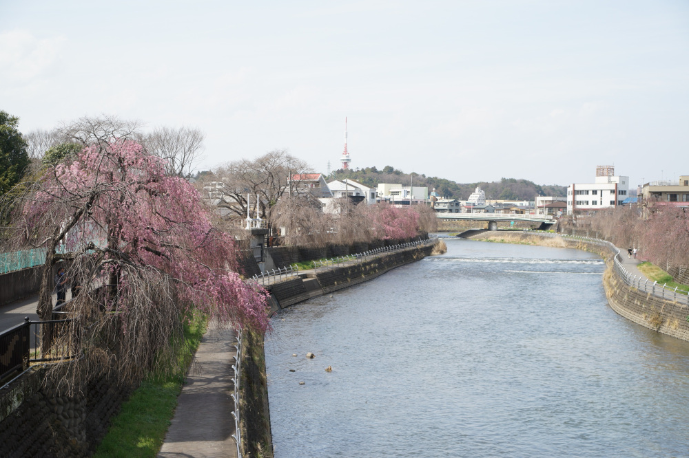 2024年3月31日（日）