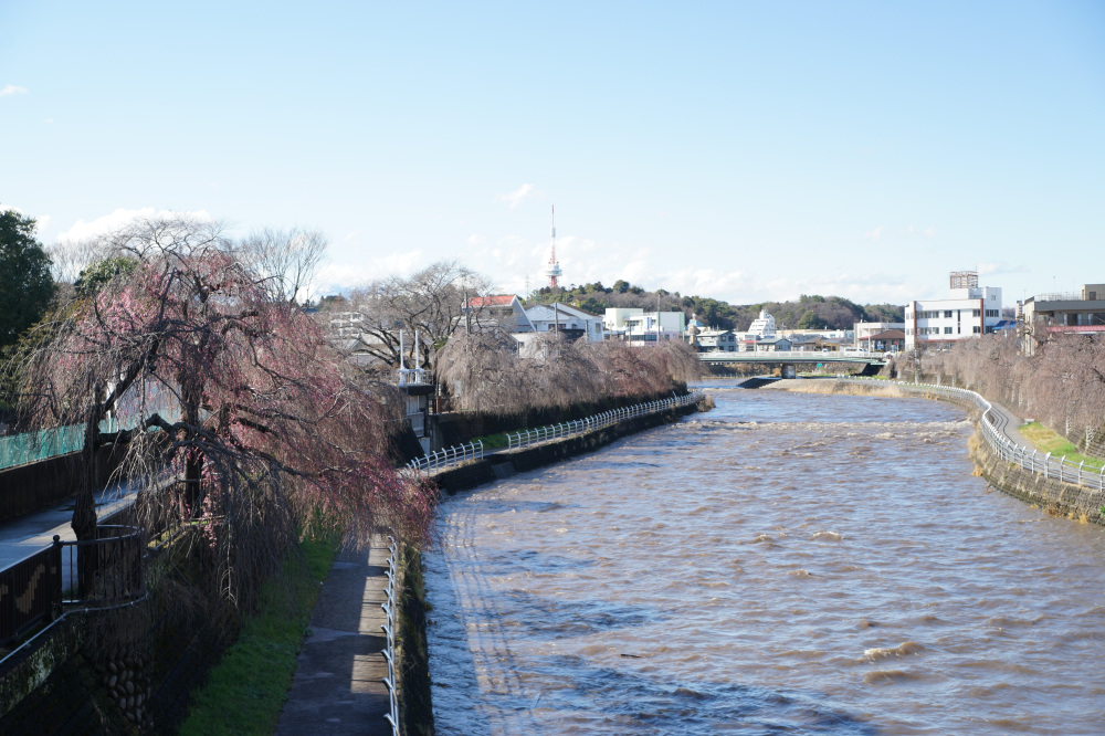 2024年3月29日（金）