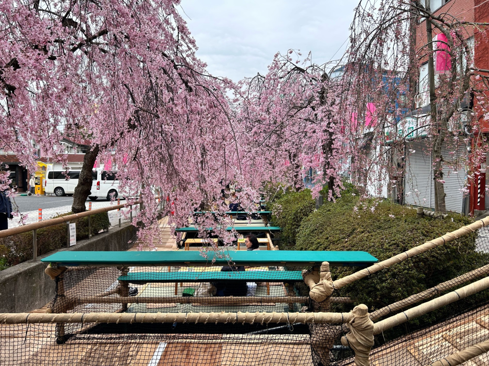 2024年4月5日（金）