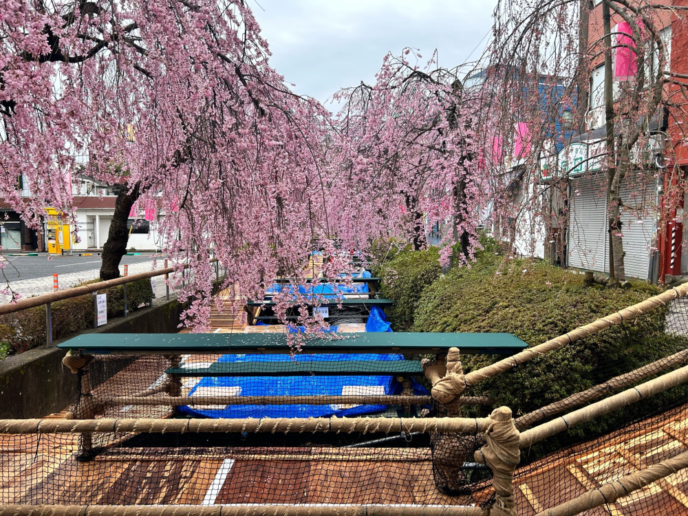 2024年4月4日（木）