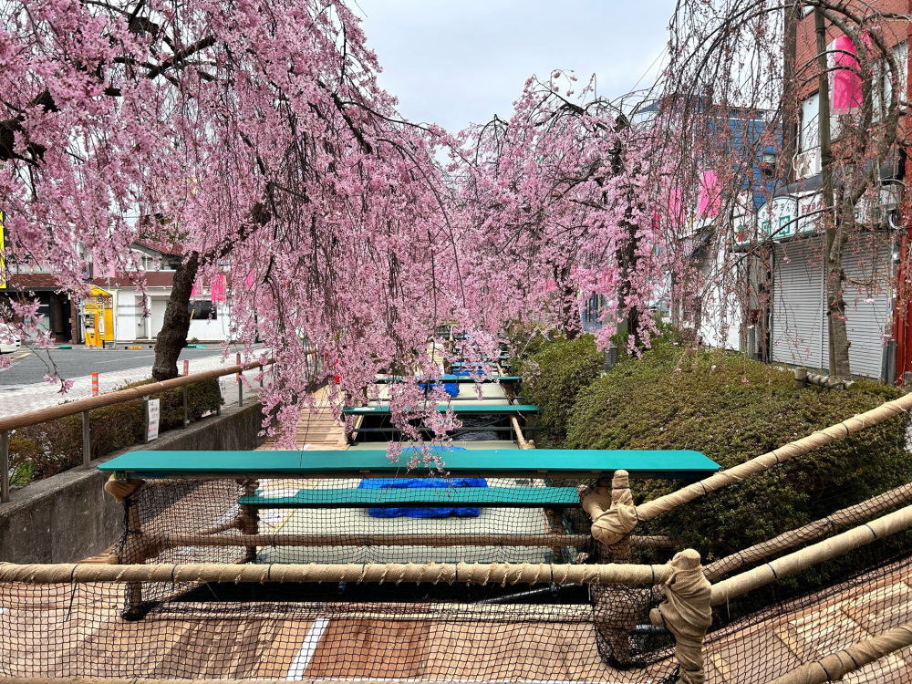 2024年4月3日（水）