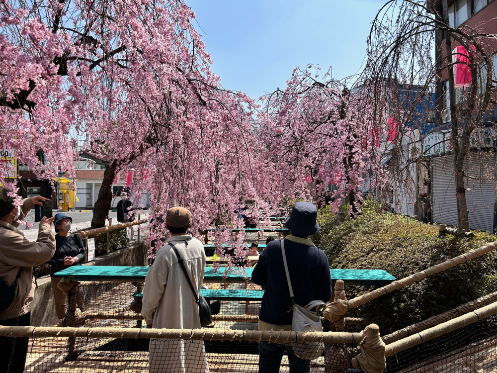 2024年4月2日（火）