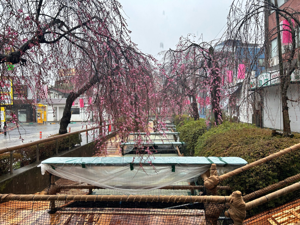 2024年3月29日（金）