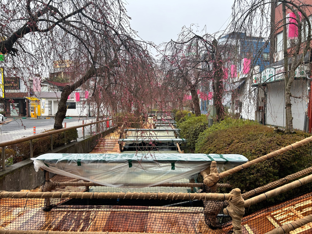 2024年3月26日（火）