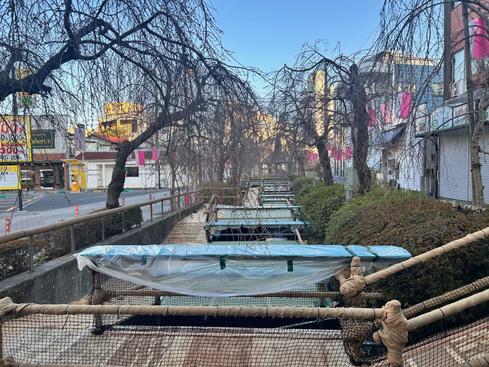 2024年3月24日（日）