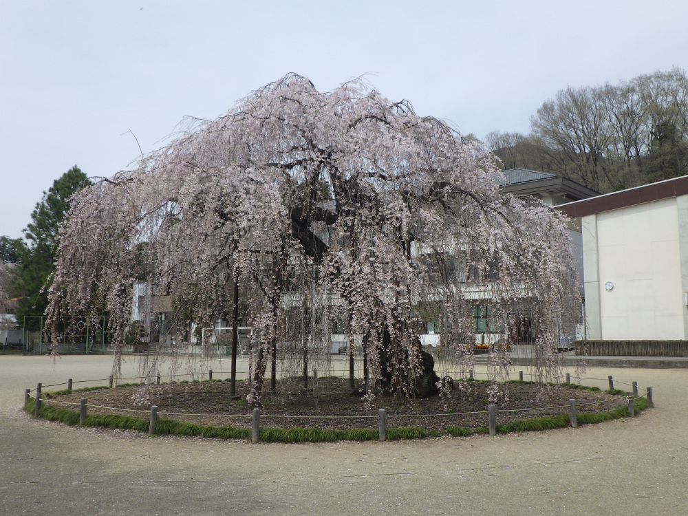 2024年4月10日（水）