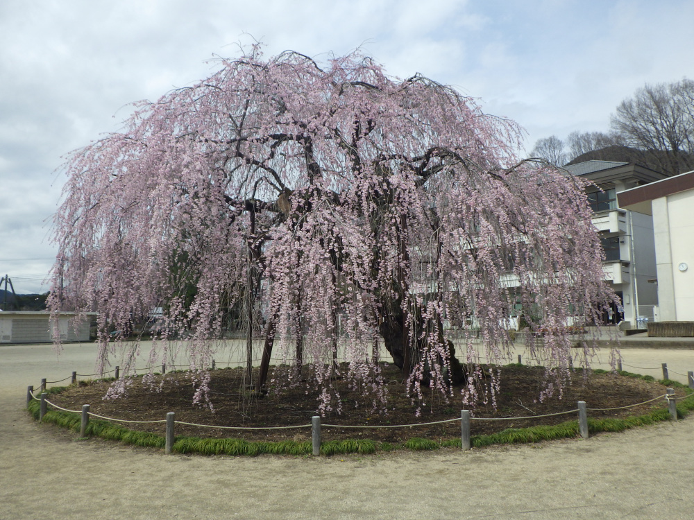 2024年4月4日（木）
