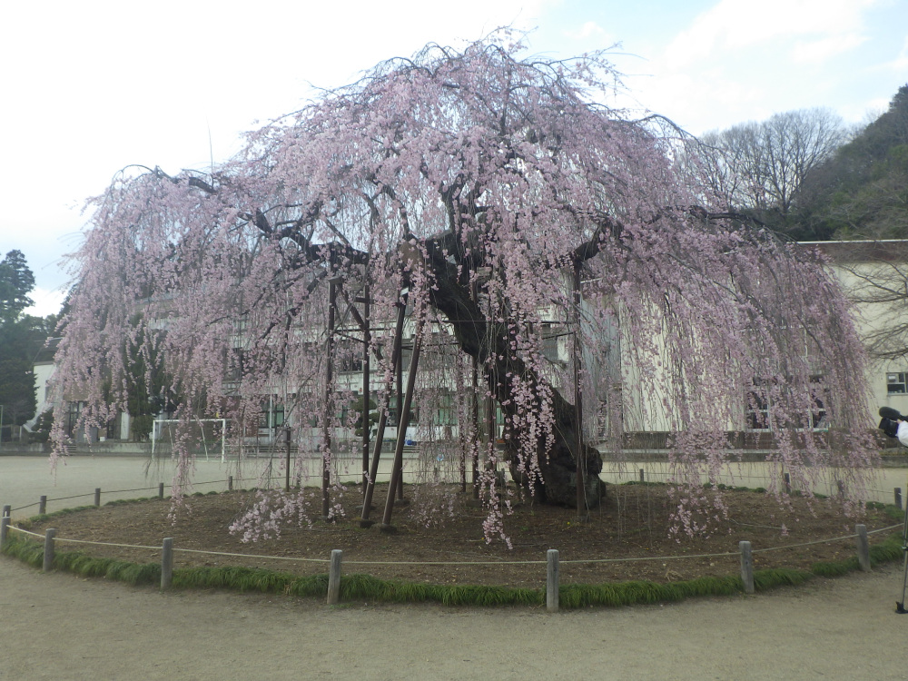 2024年4月2日（火）