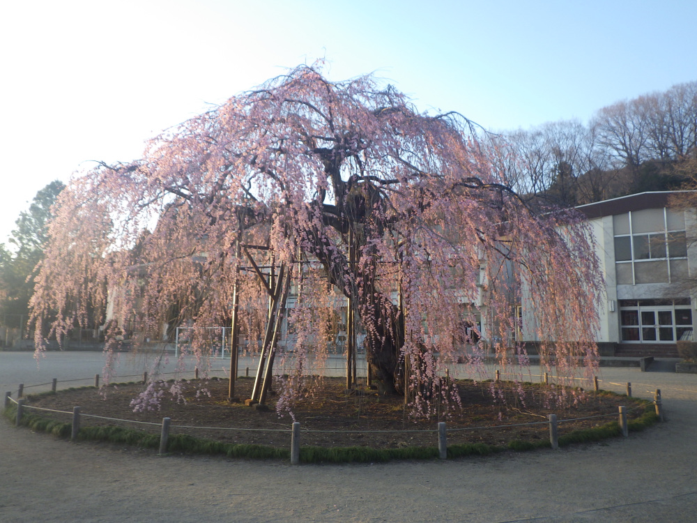 2024年4月1日（月）