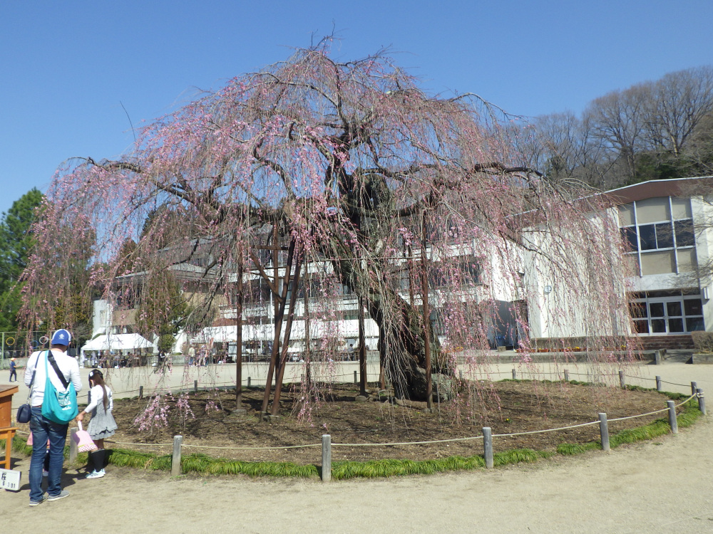 2024年3月31日（日）