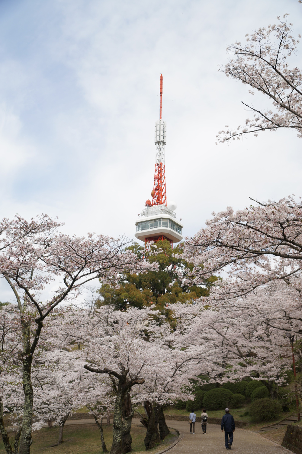2024年4月12日（金）