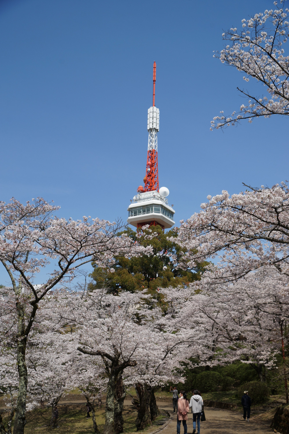 2024年4月11日（木）