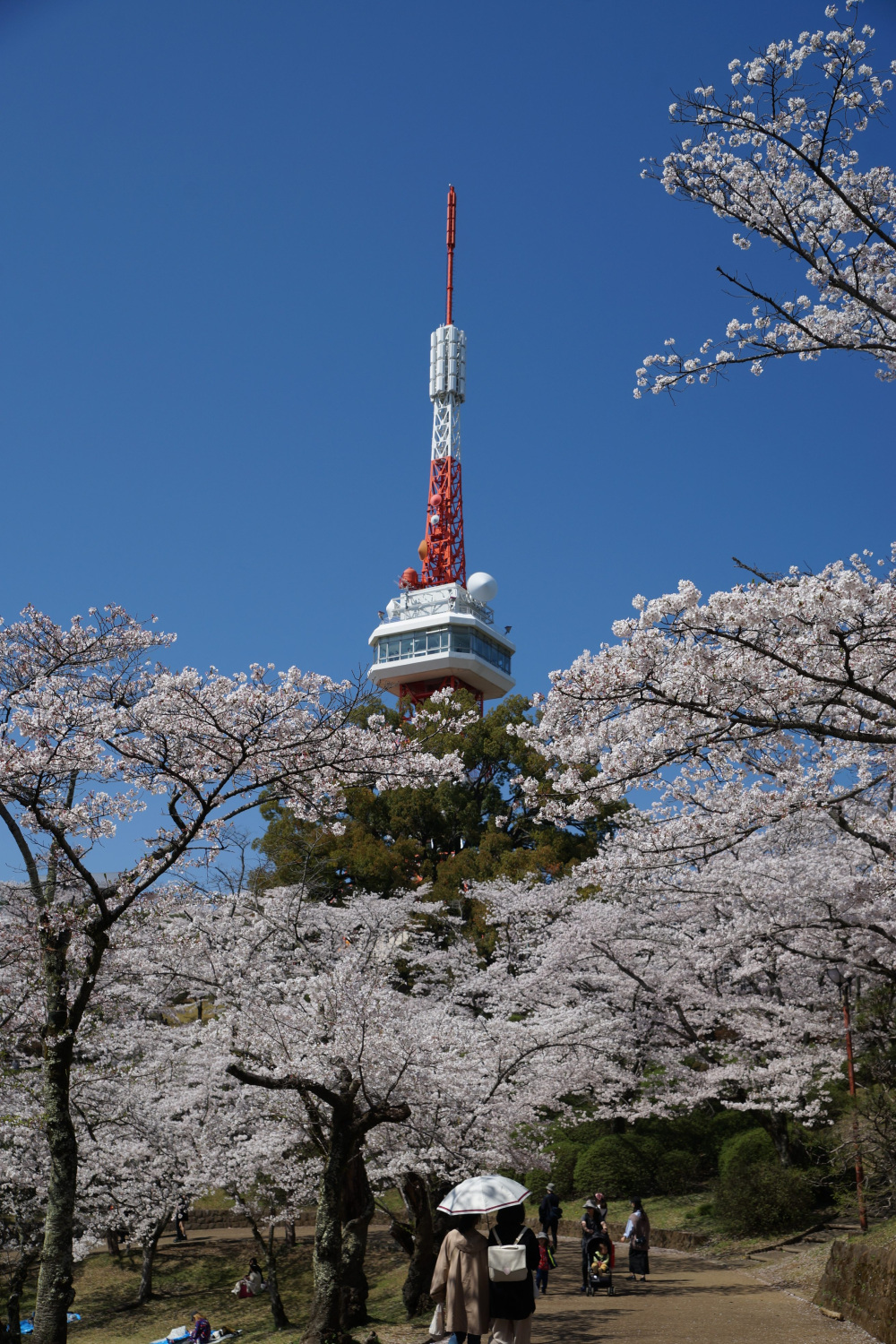 2024年4月7日（日）
