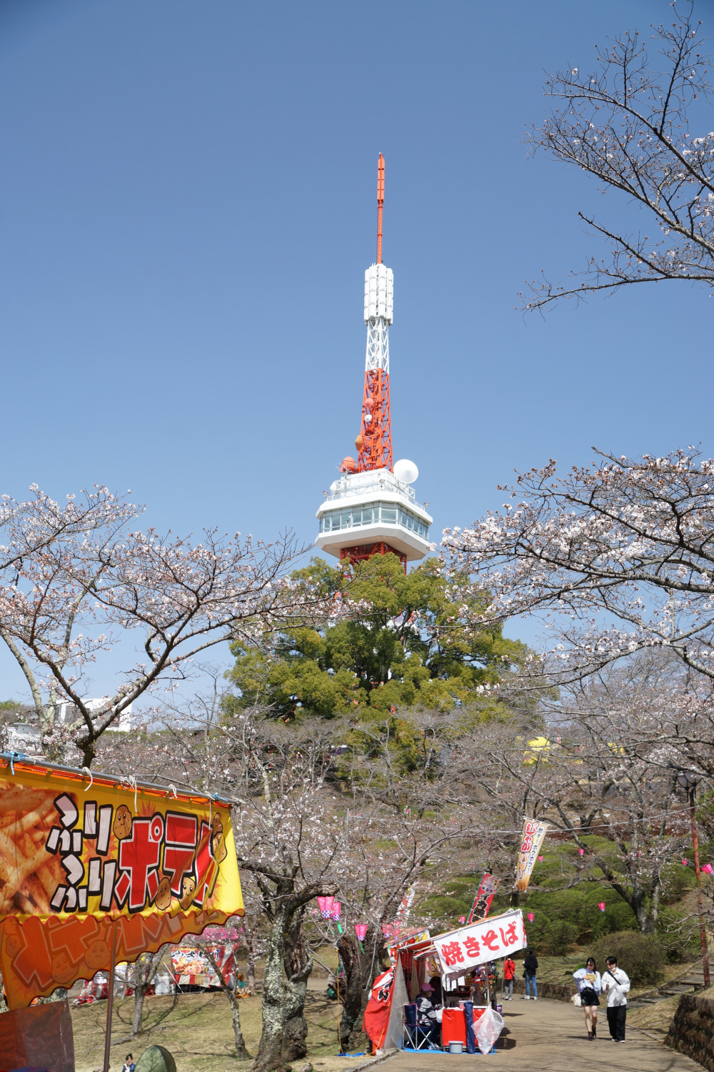 2024年4月2日（火）
