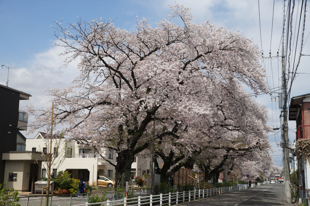 2024年4月12日（金）