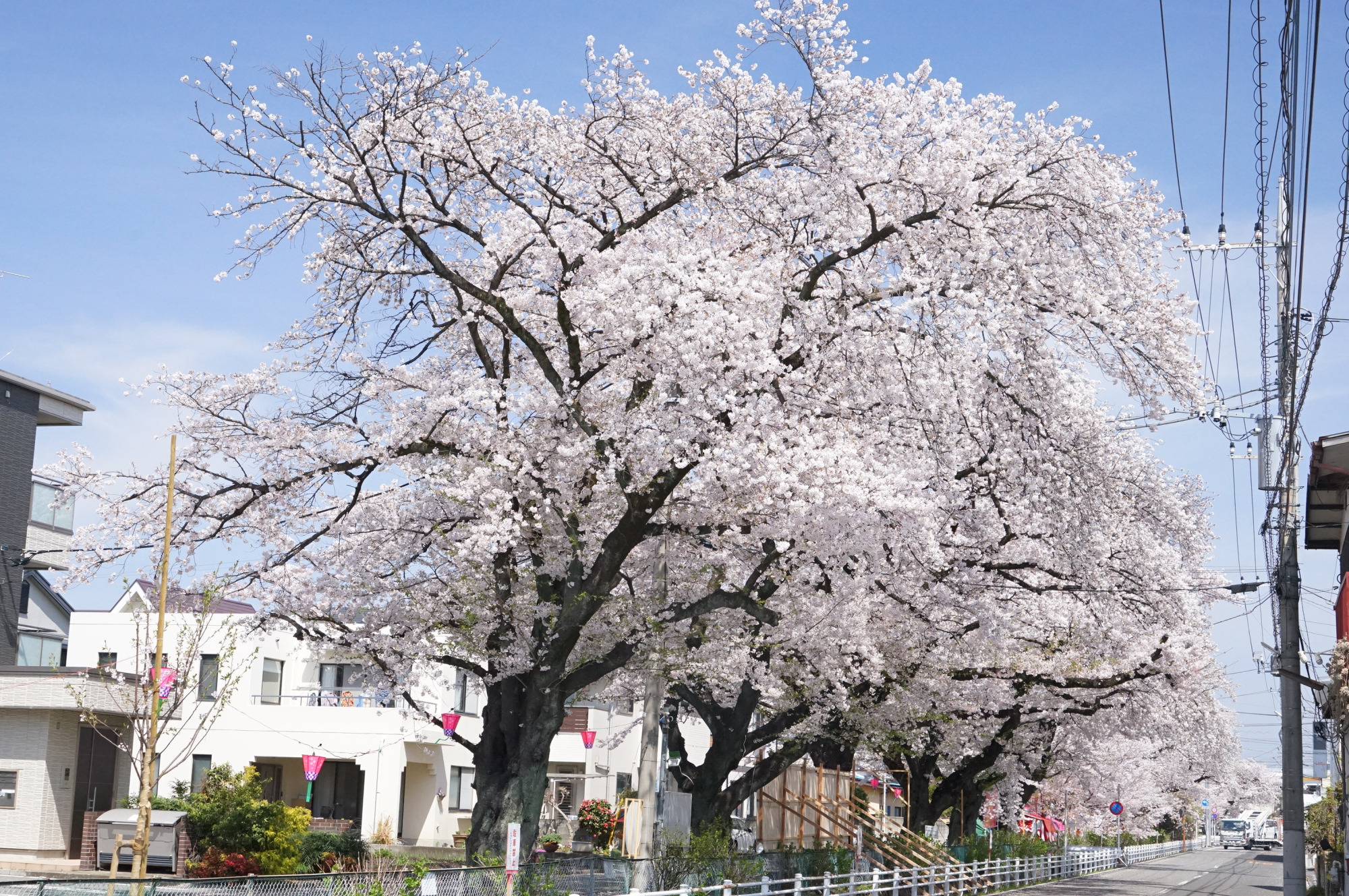 2024年4月11日（木）