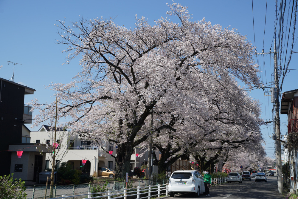 2024年4月7日（日）