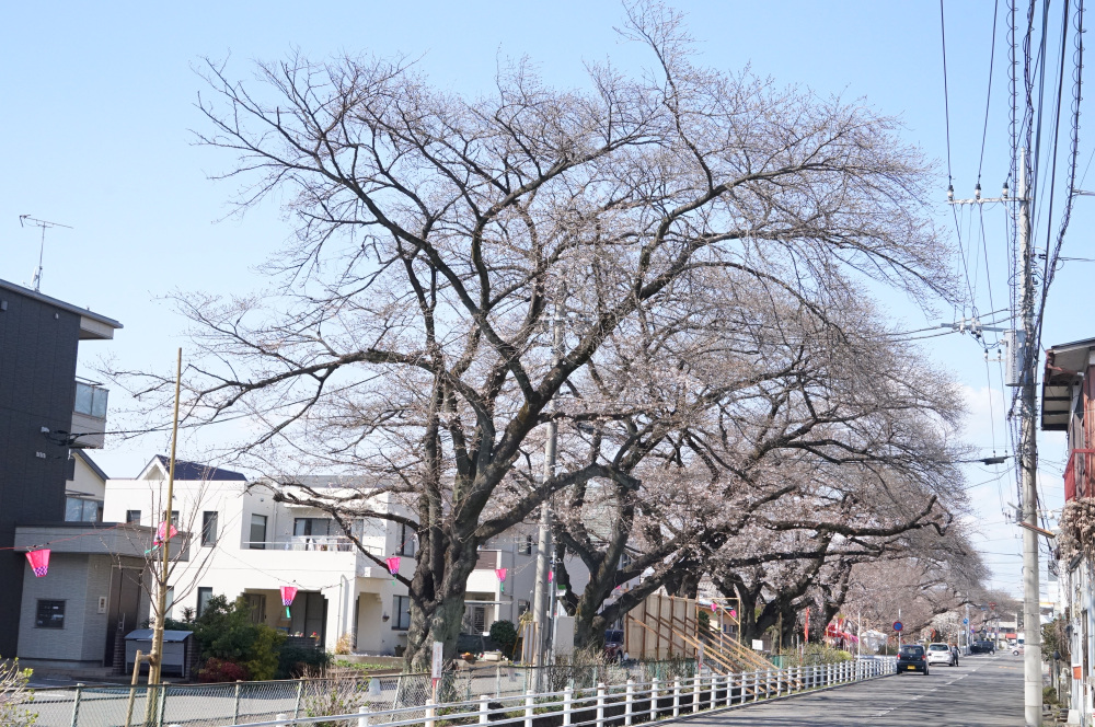 2024年4月1日（月）