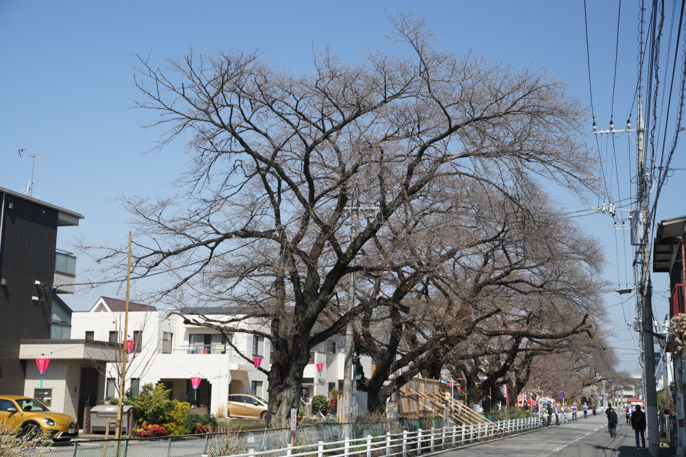 2024年3月31日（日）
