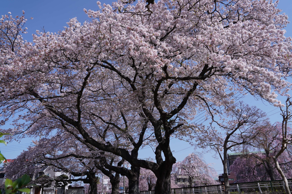 2024年4月14日（日）