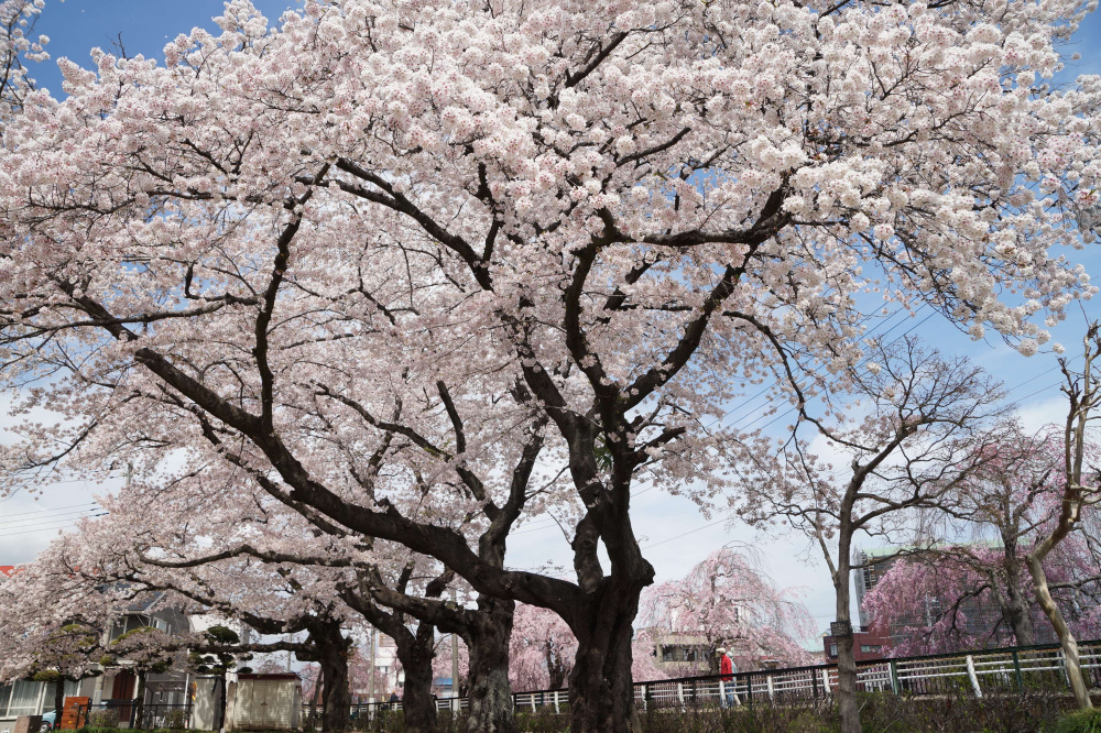 2024年4月12日（金）